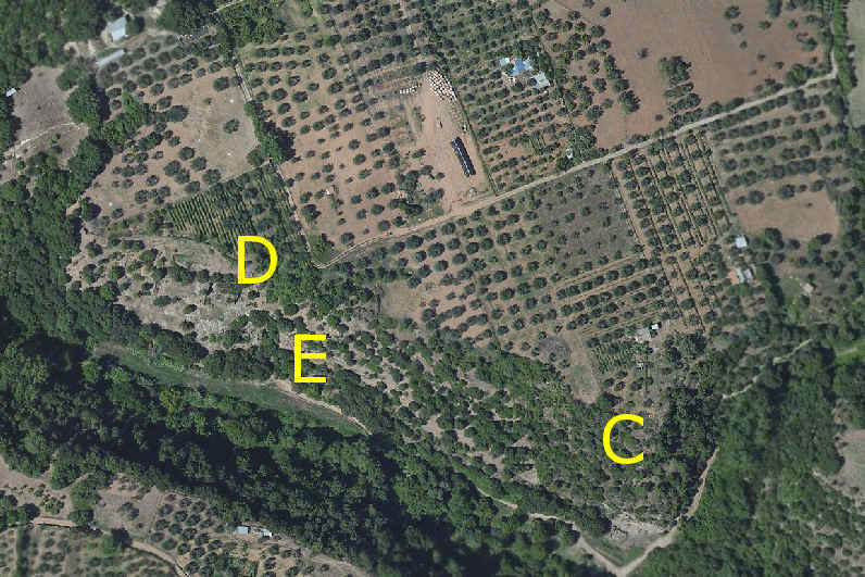 Mappa necropoli di Pian del Vescovo