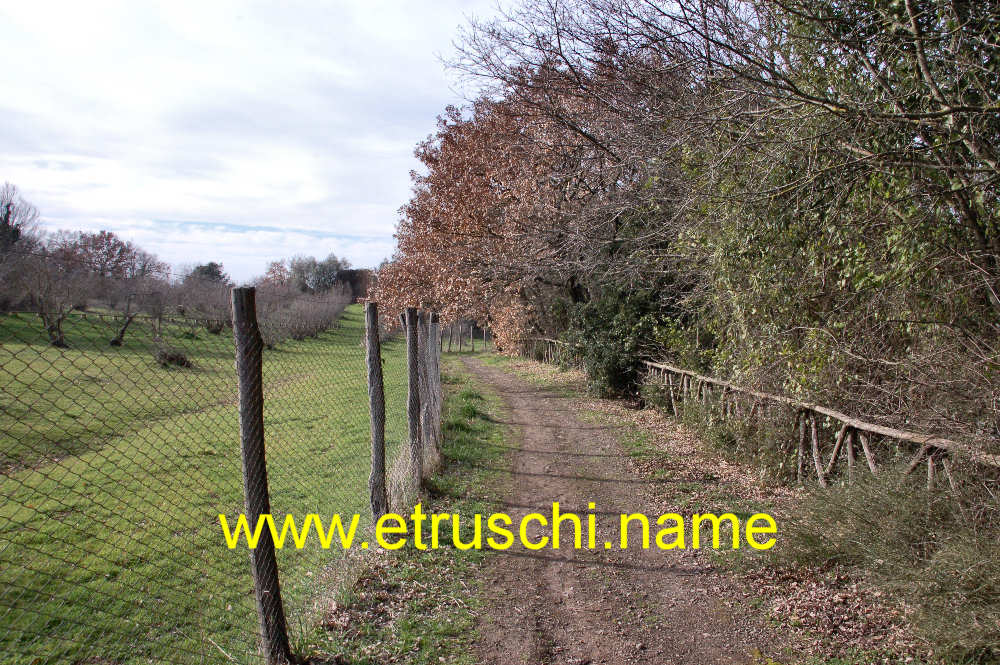 l'area di Petrolo