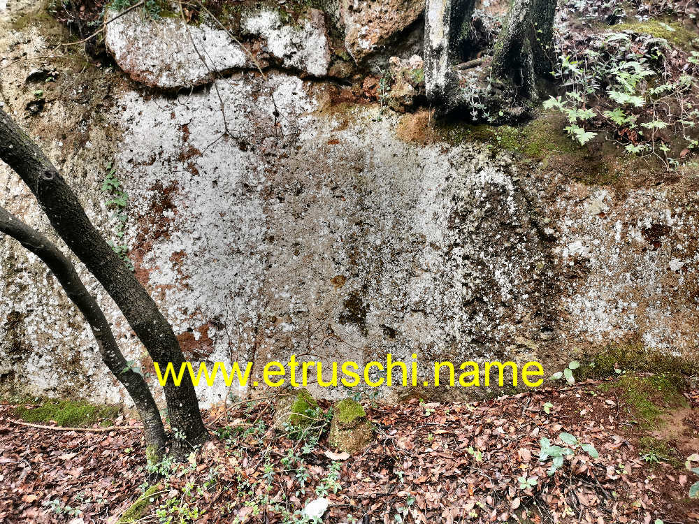 nuova tomba