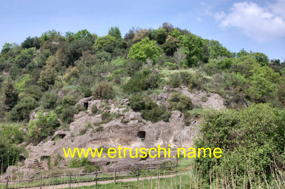 Necropoli di Pian del Vescovo