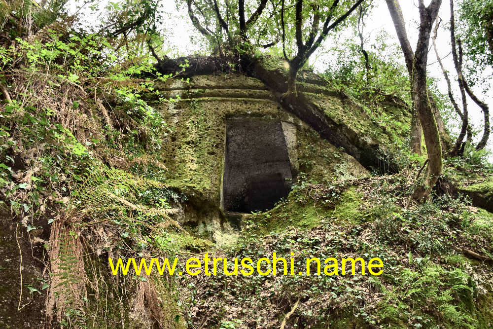 Via cava buia