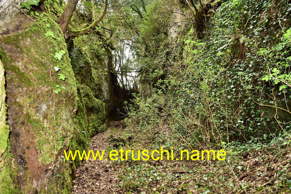 Fenditura etrusca