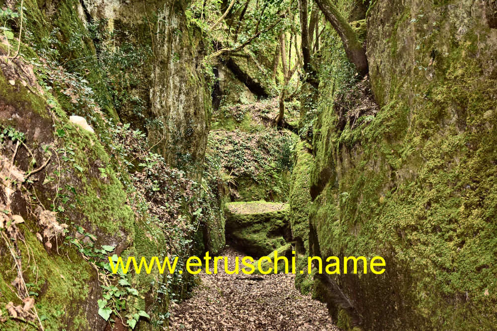 Via cava buia