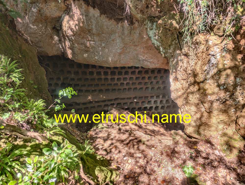 Colombario nella necropoli del Terrone