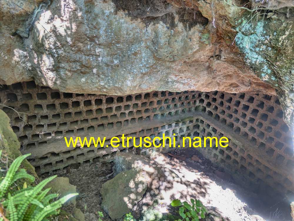 Colombario nella necropoli del Terrone