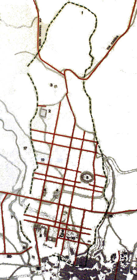 Mappa Volsinii Novi