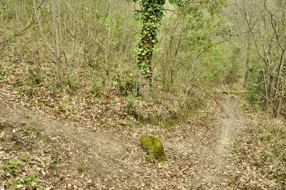 Arrivo alla Piramide Etrusca