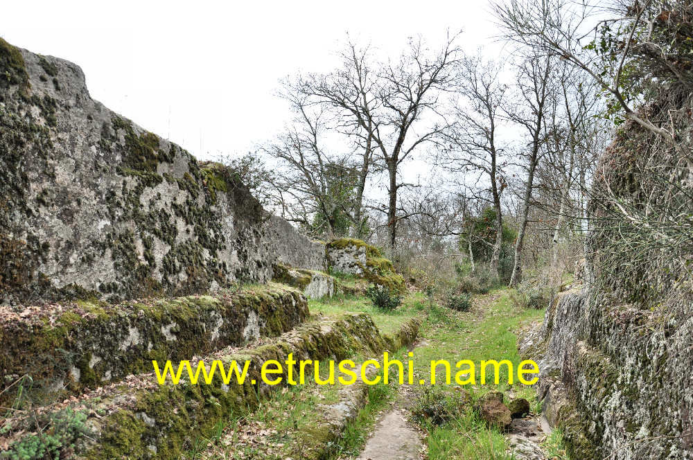 Tagliate delle Rocchette a Bomarzo