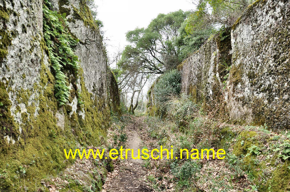 Tagliata delle Rocchette