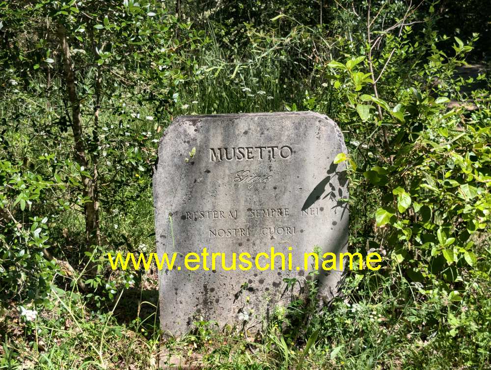 Tomba del cavallo Musetto