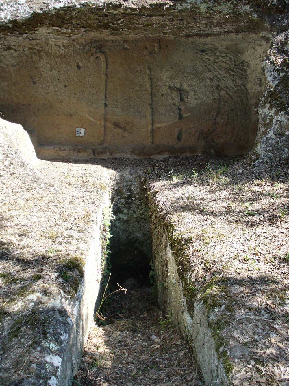 La finta porta