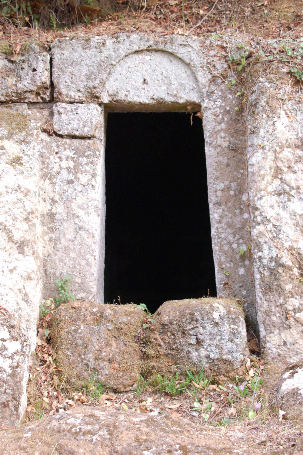 Tomba dei Vasi Aretini