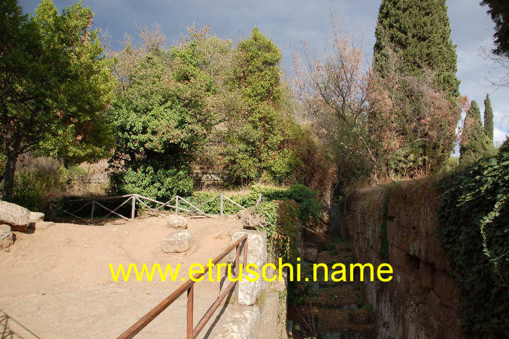 La strada incassata al Tumulo II