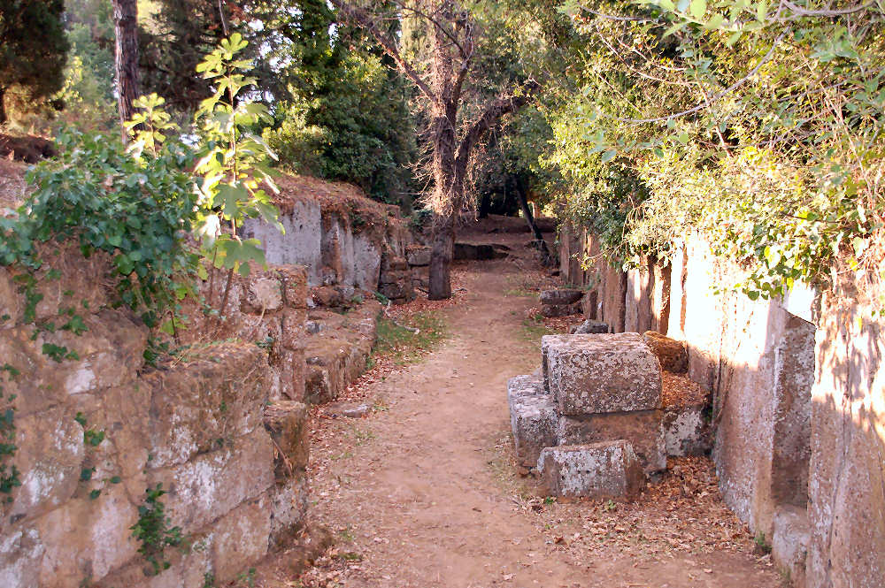Zona Tomba di Marce Ursus