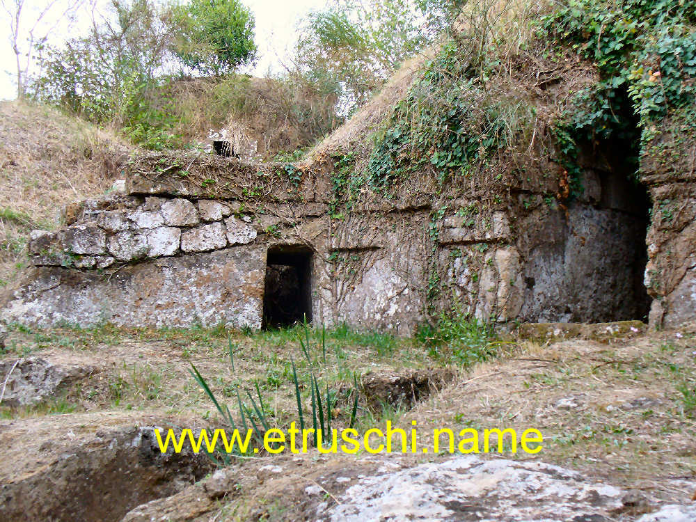 Zona Tomba di Munise