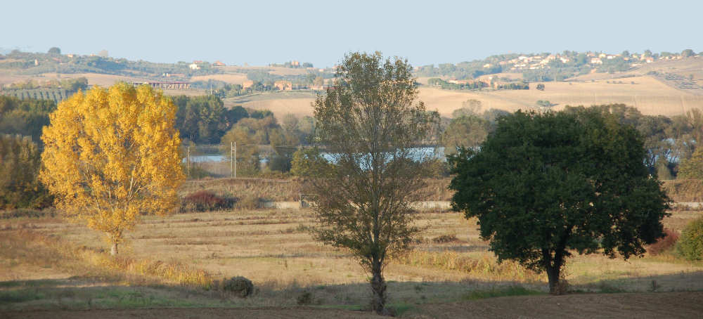 Chiusi
