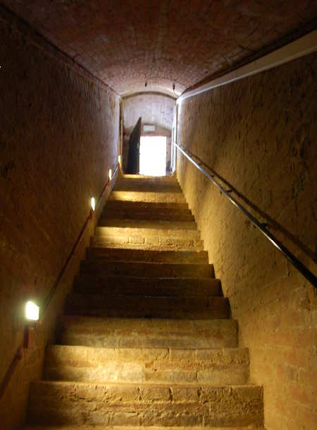 Tomba della Scimmia