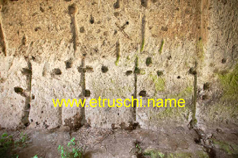 Grotta Porcina a Vetralla. La Tomba 3bis