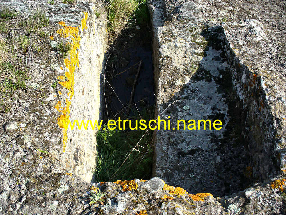 Grotta Porcina a Vetralla. La Tomba 8