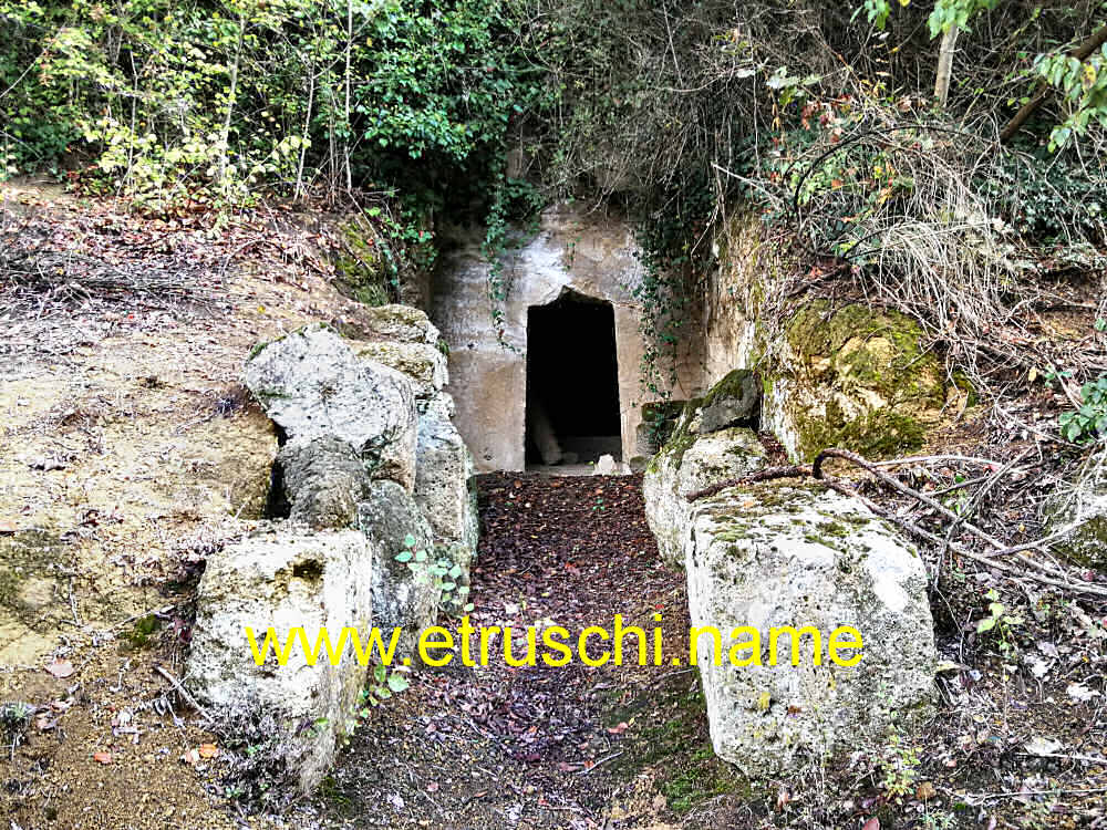 Tomba P14