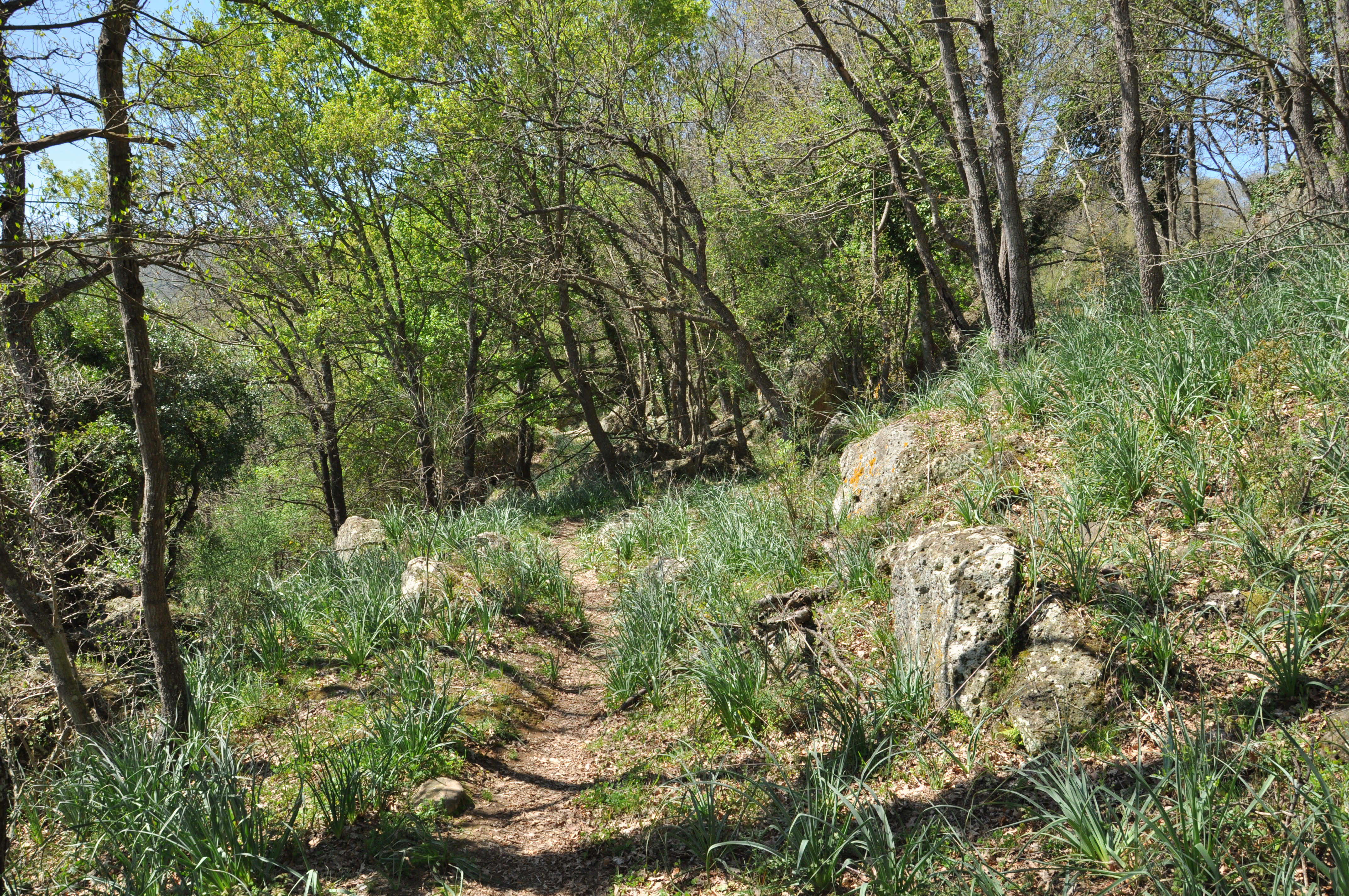Da Ponton Serignano a Luni