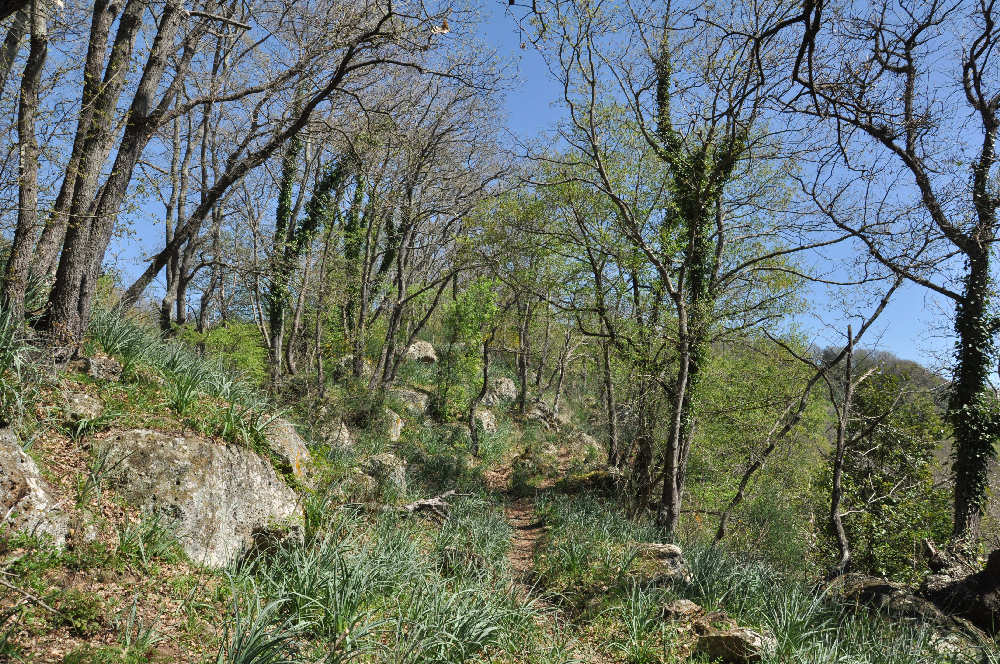 Da Ponton Serignano a Luni