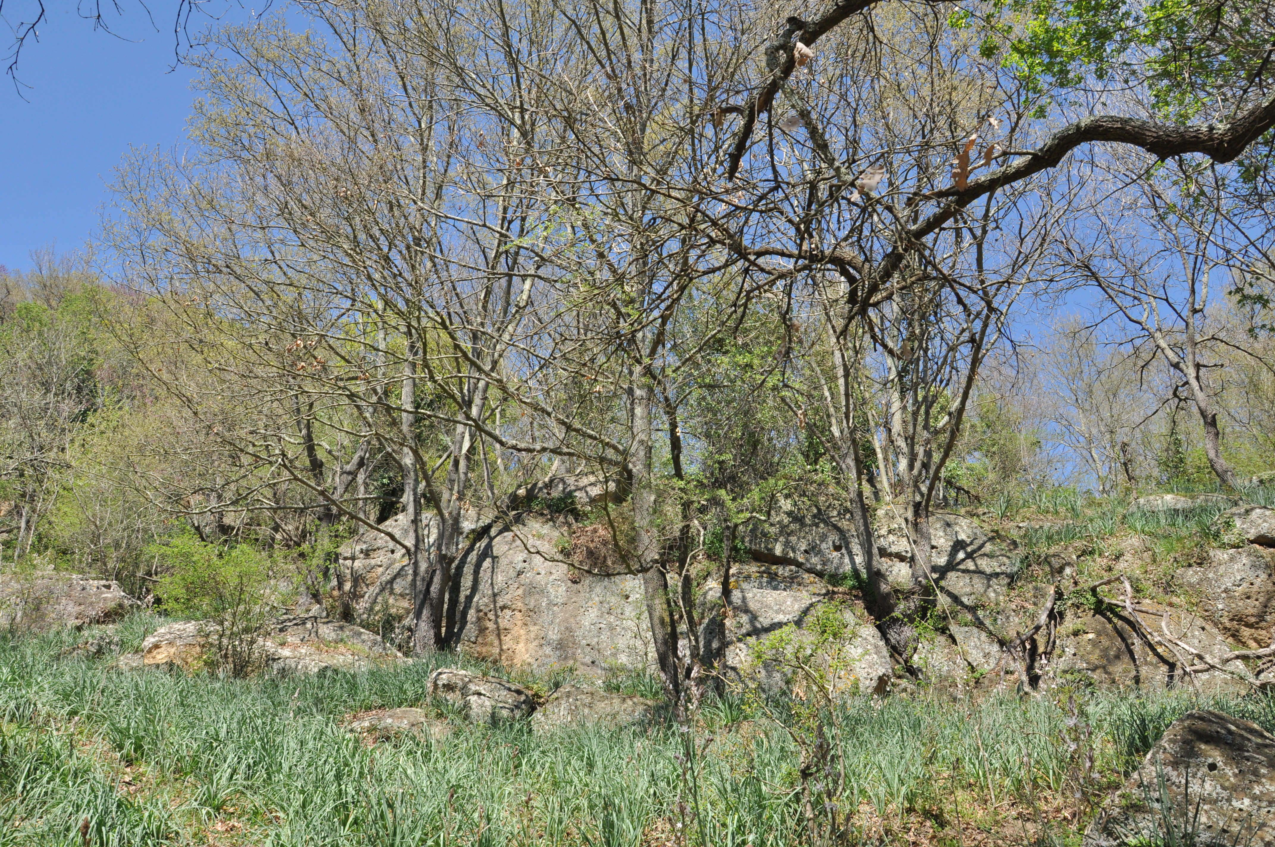 Da Ponton Serignano a Luni