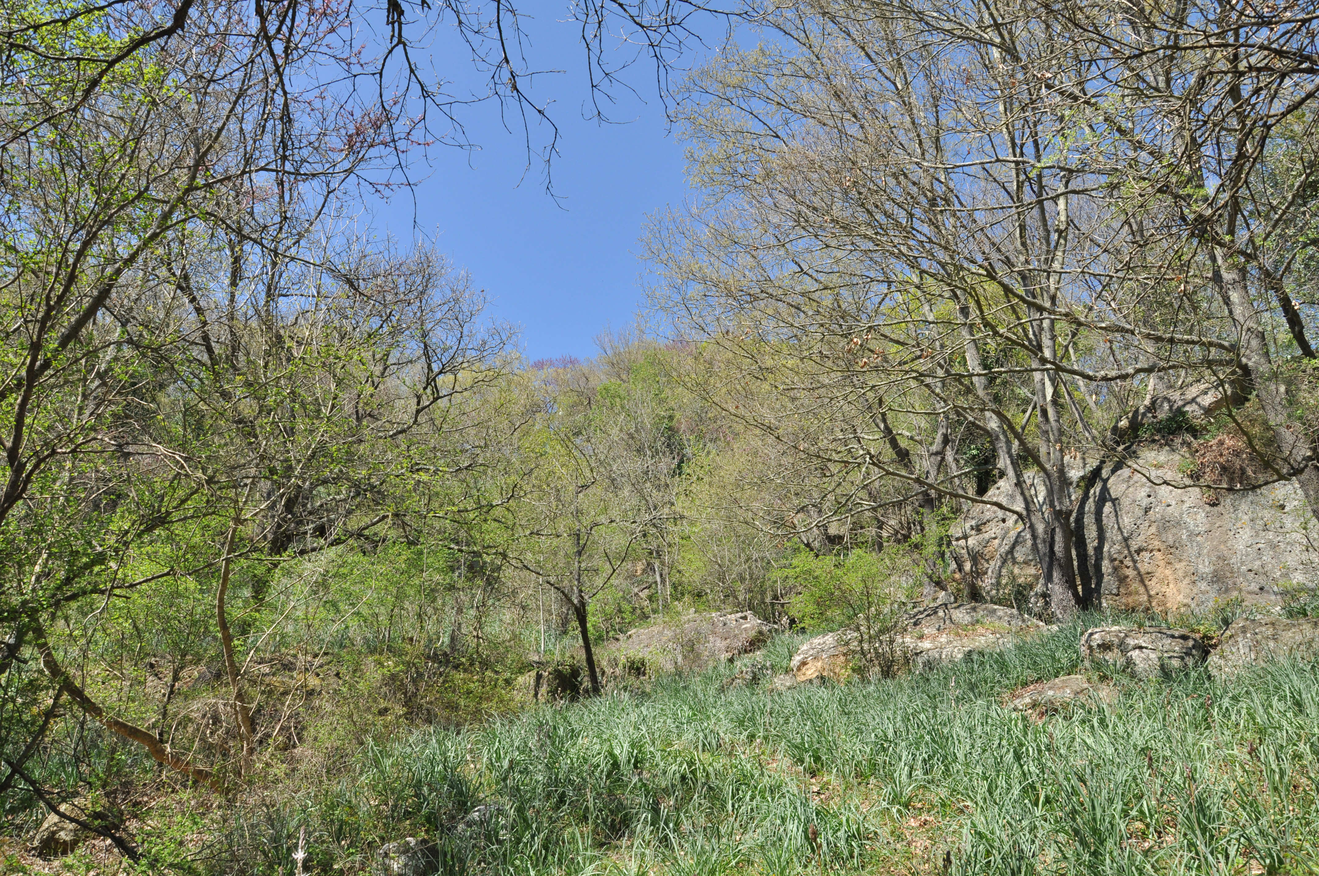 Da Ponton Serignano a Luni
