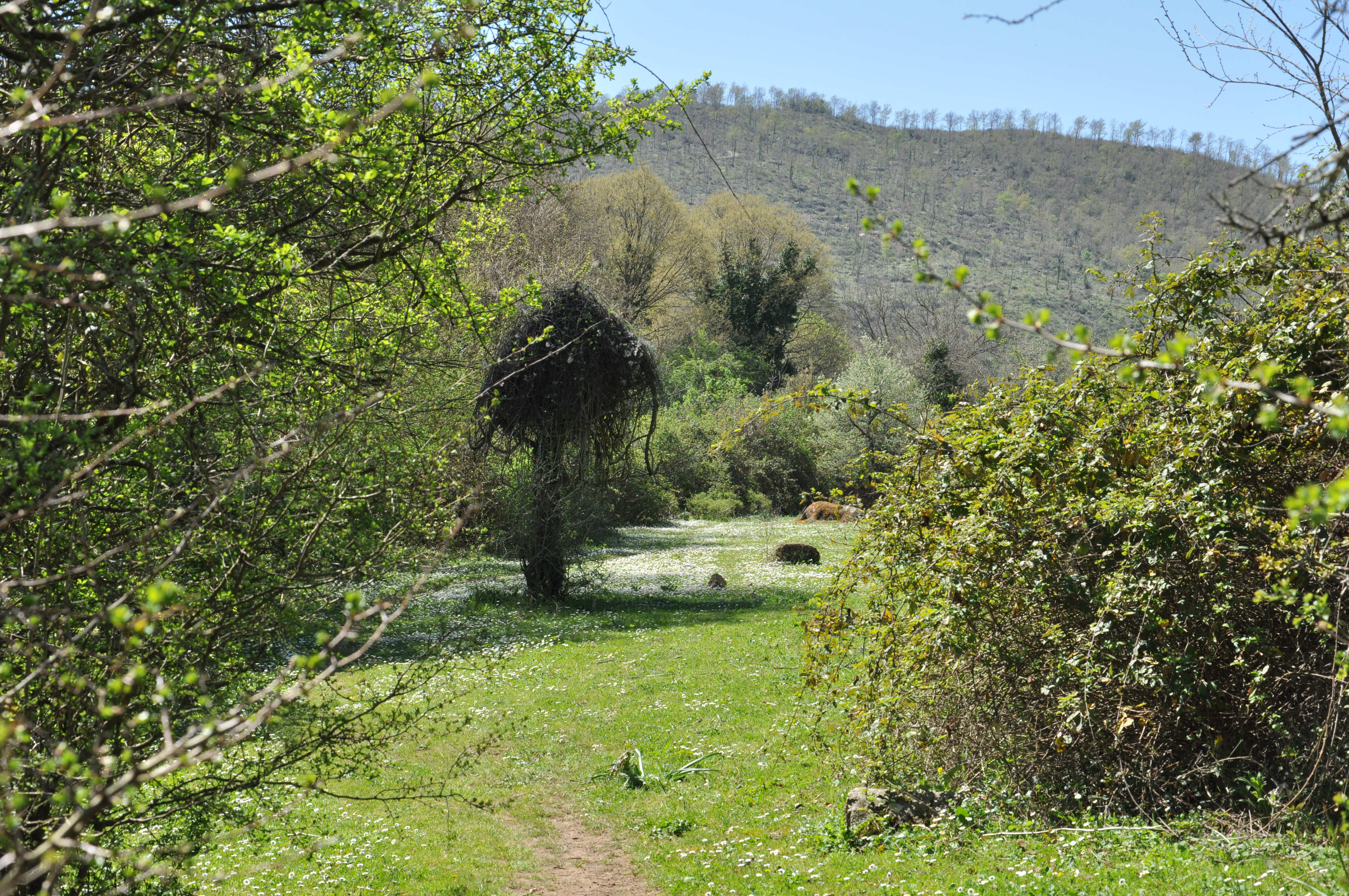 Da Ponton Serignano a Luni