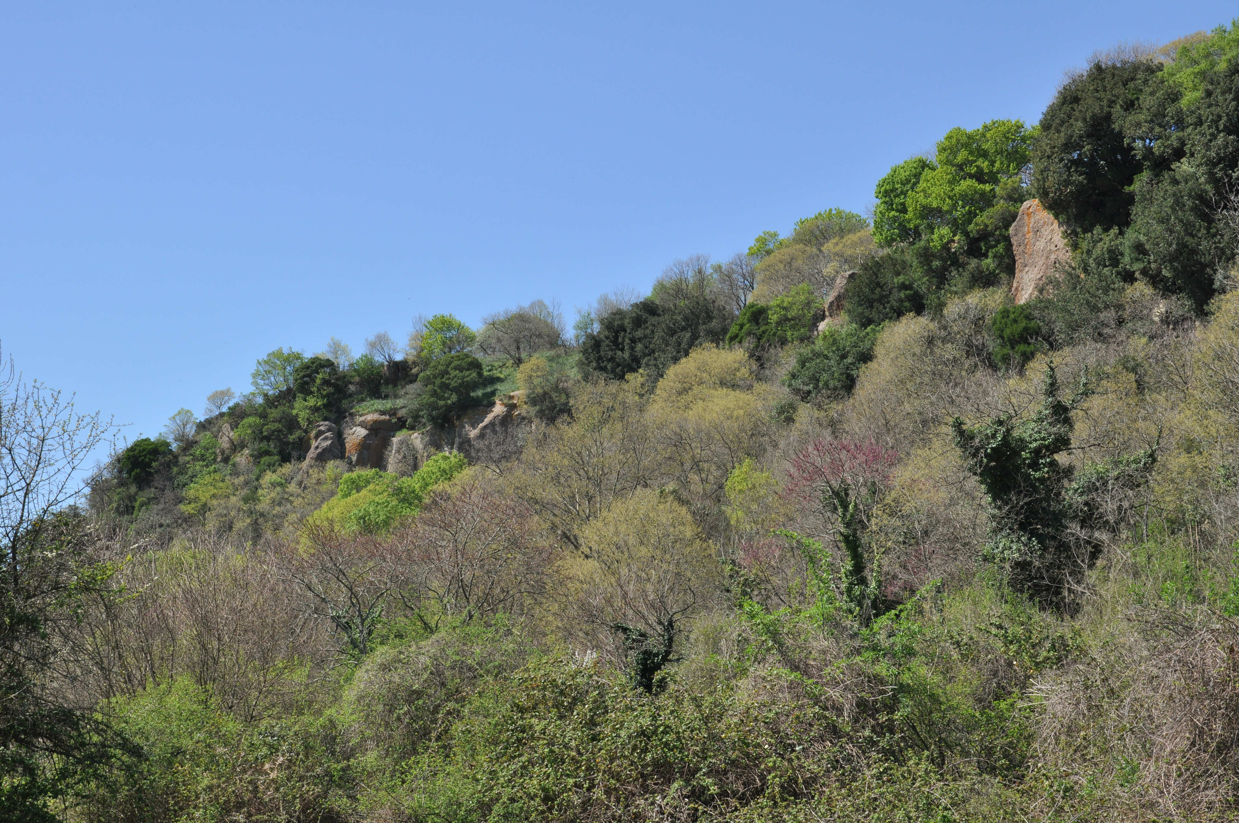 Da Ponton Serignano a Luni