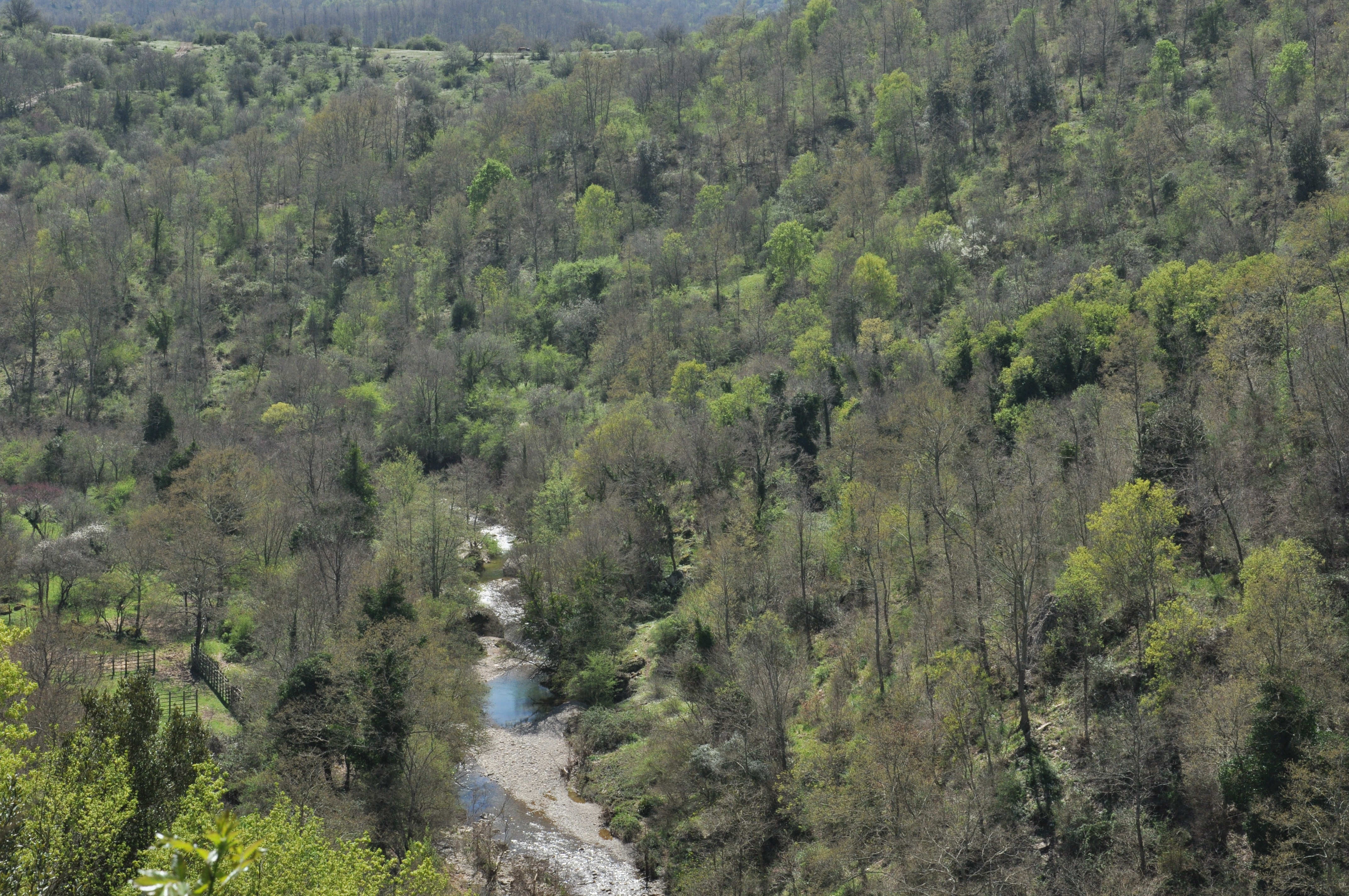 Luni del Mignone