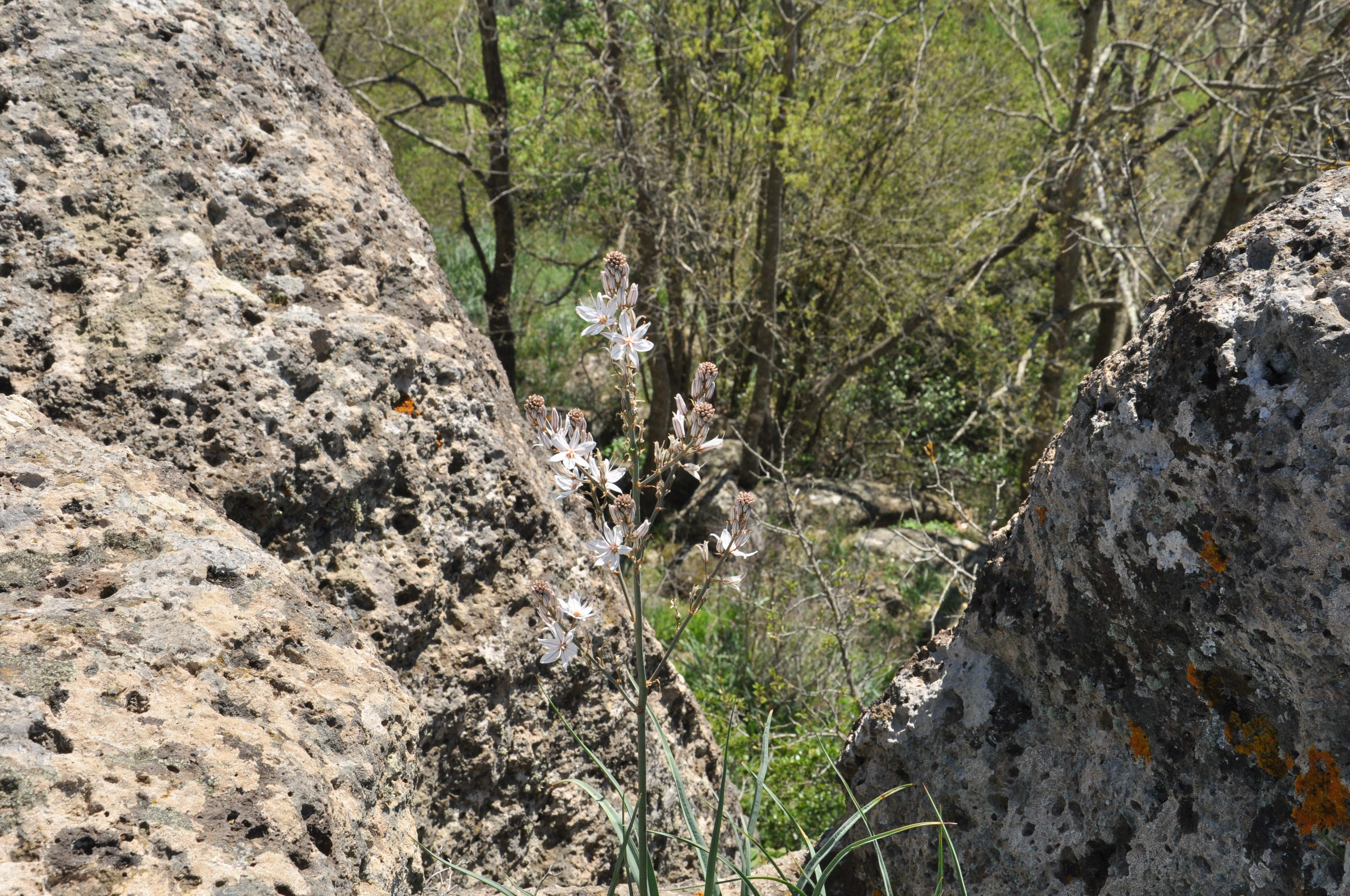 Luni del Mignone