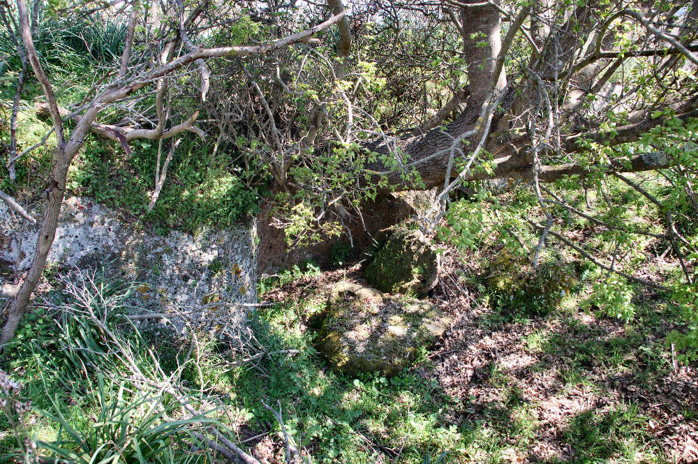 Taglòiata Etrusca