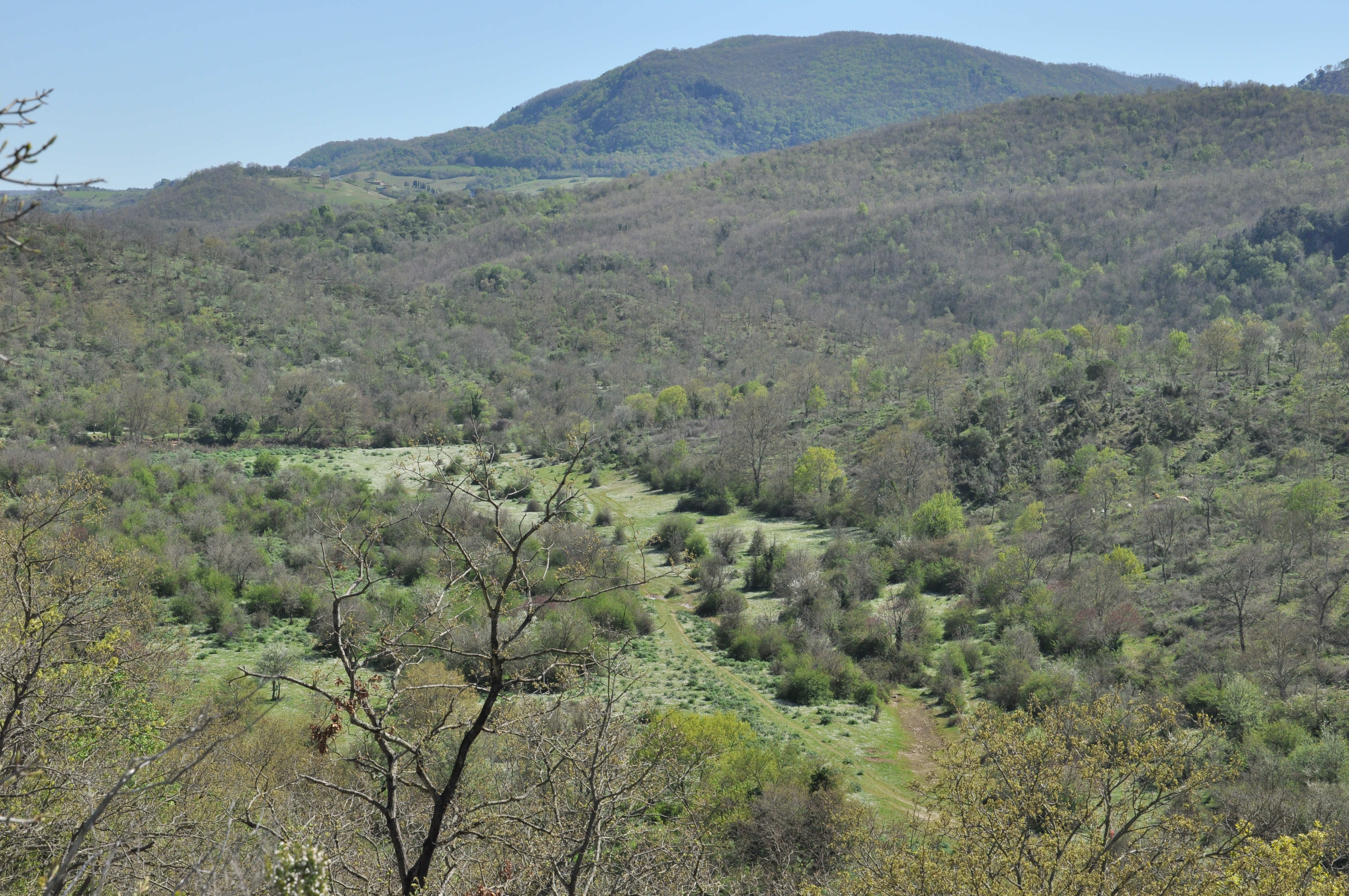 Valle di Luni