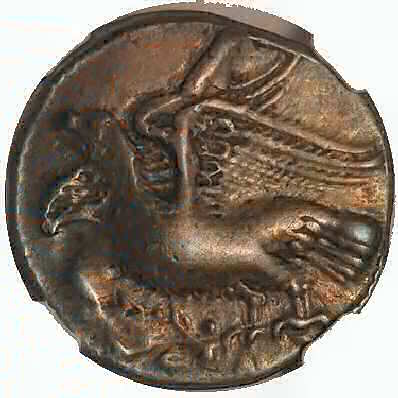 Croton AR VF NGC