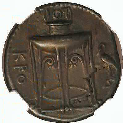 Croton AR VF NGC