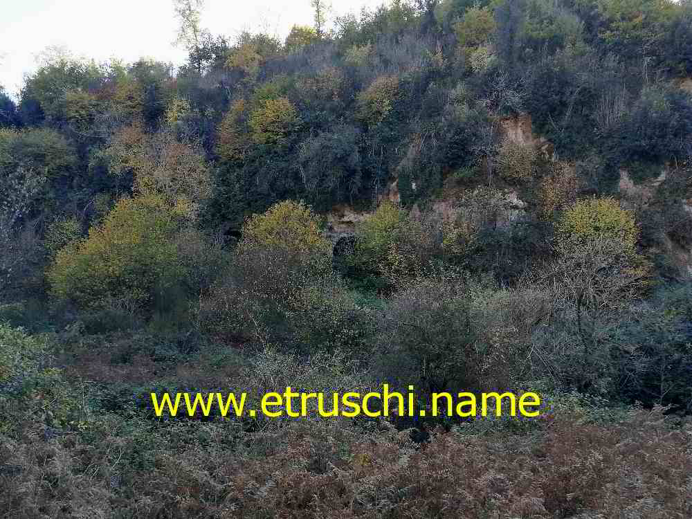 Morranaccio