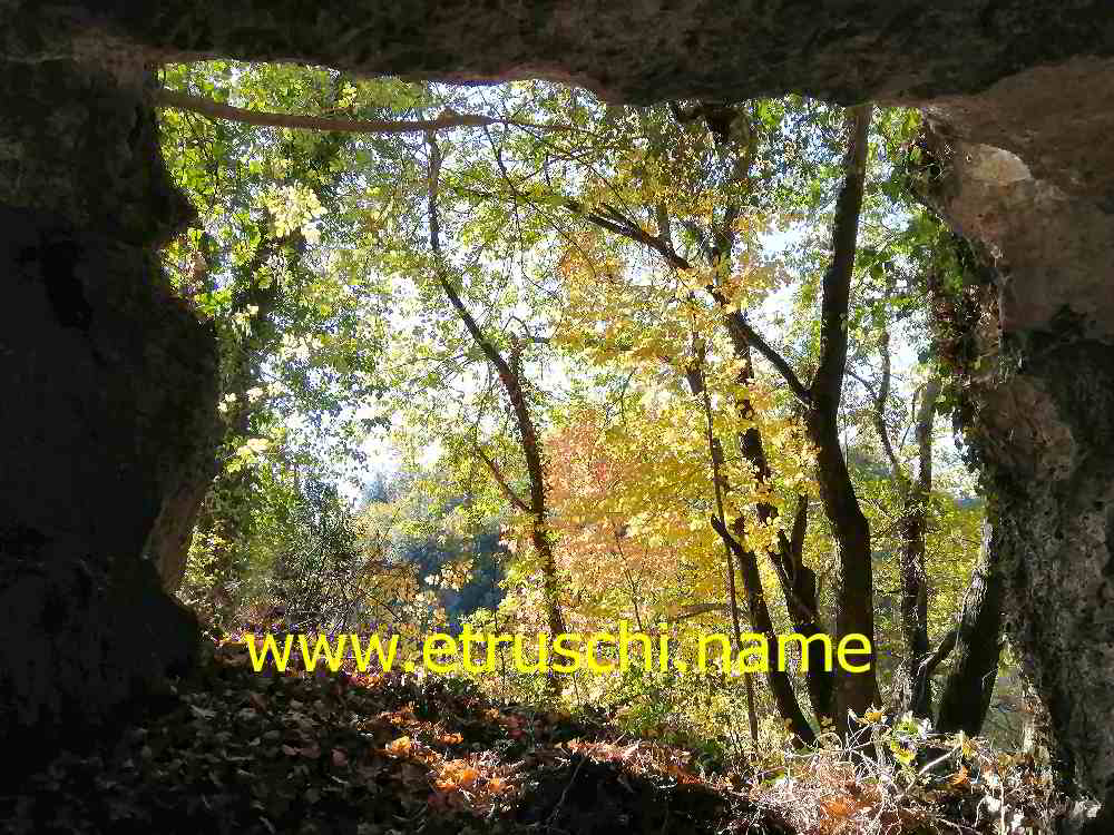 Grotta 04 del setto nella roccia