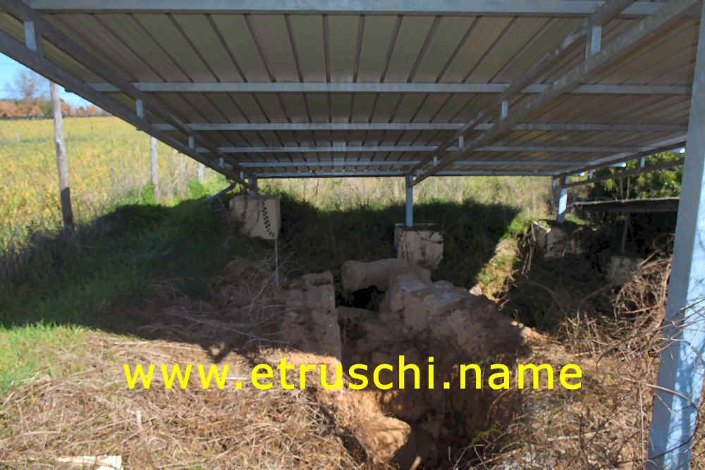 Le rovine degli edifici di Musarna