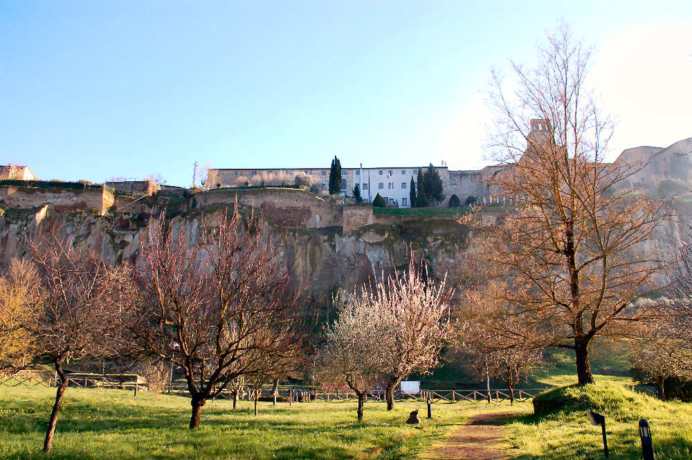 Necropoli del Crocifisso di Tufo