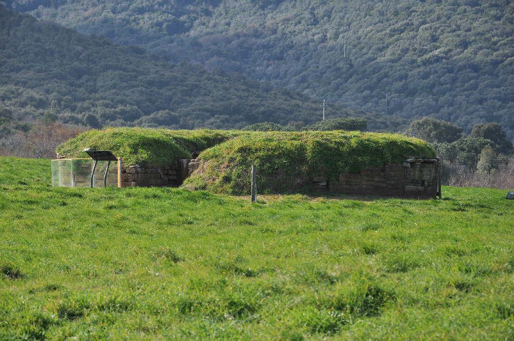 Tomba dell'aryballos piriforme