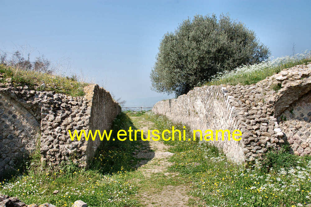 Anfiteatro romano