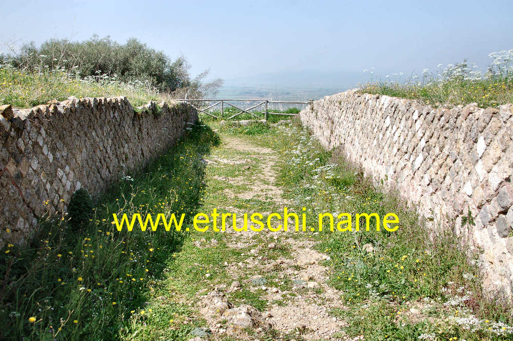 Anfiteatro romano