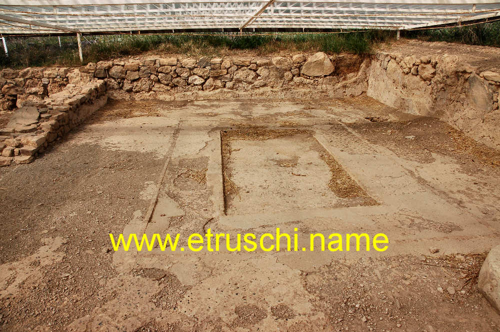 area del foro
