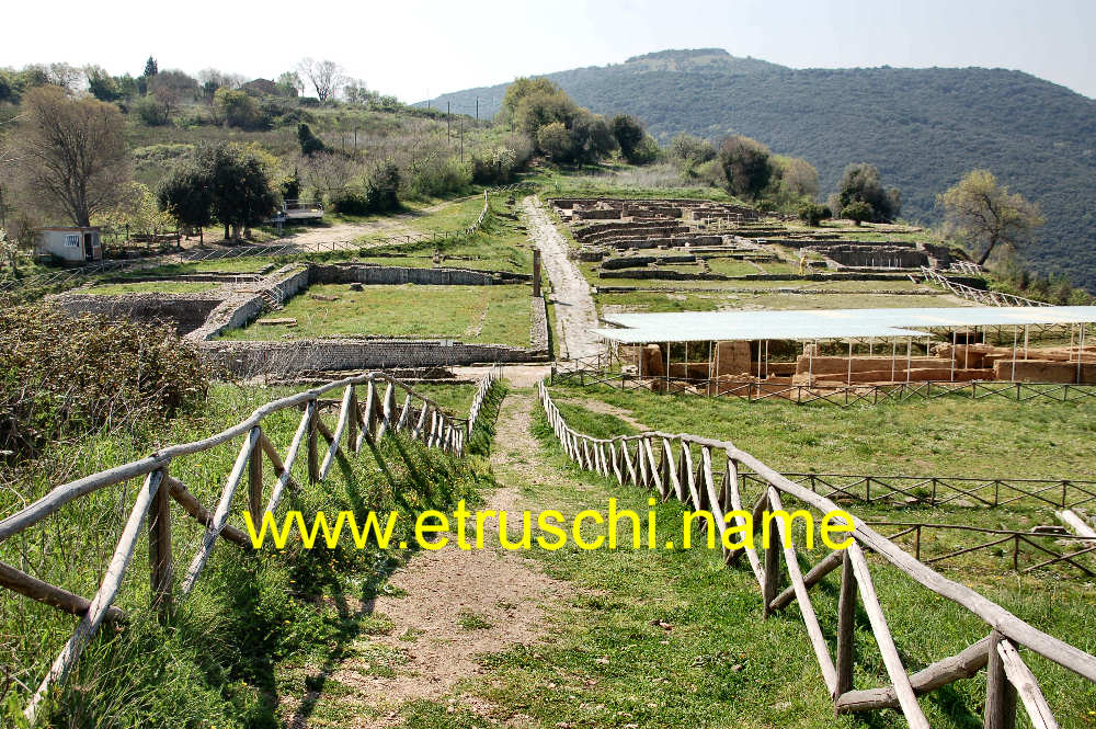 area del foro