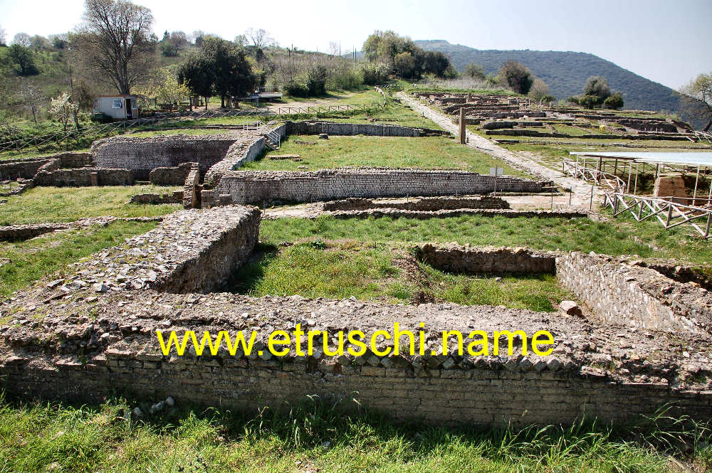 Roselle area della collina nord