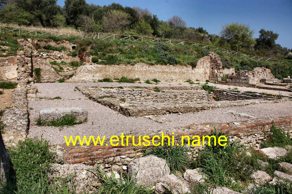 Roselle area delle terme