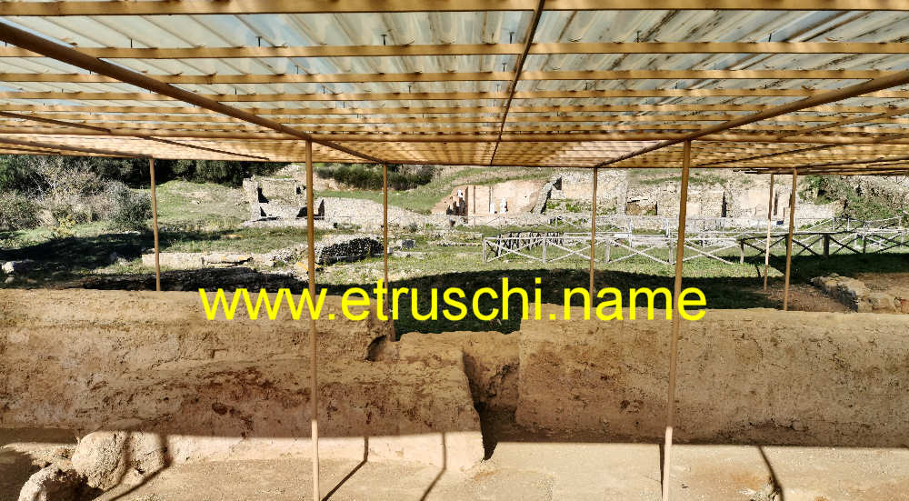 area del foro