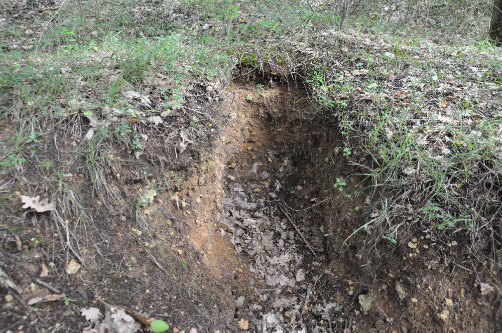 La necropoli di Poggio Rotondo