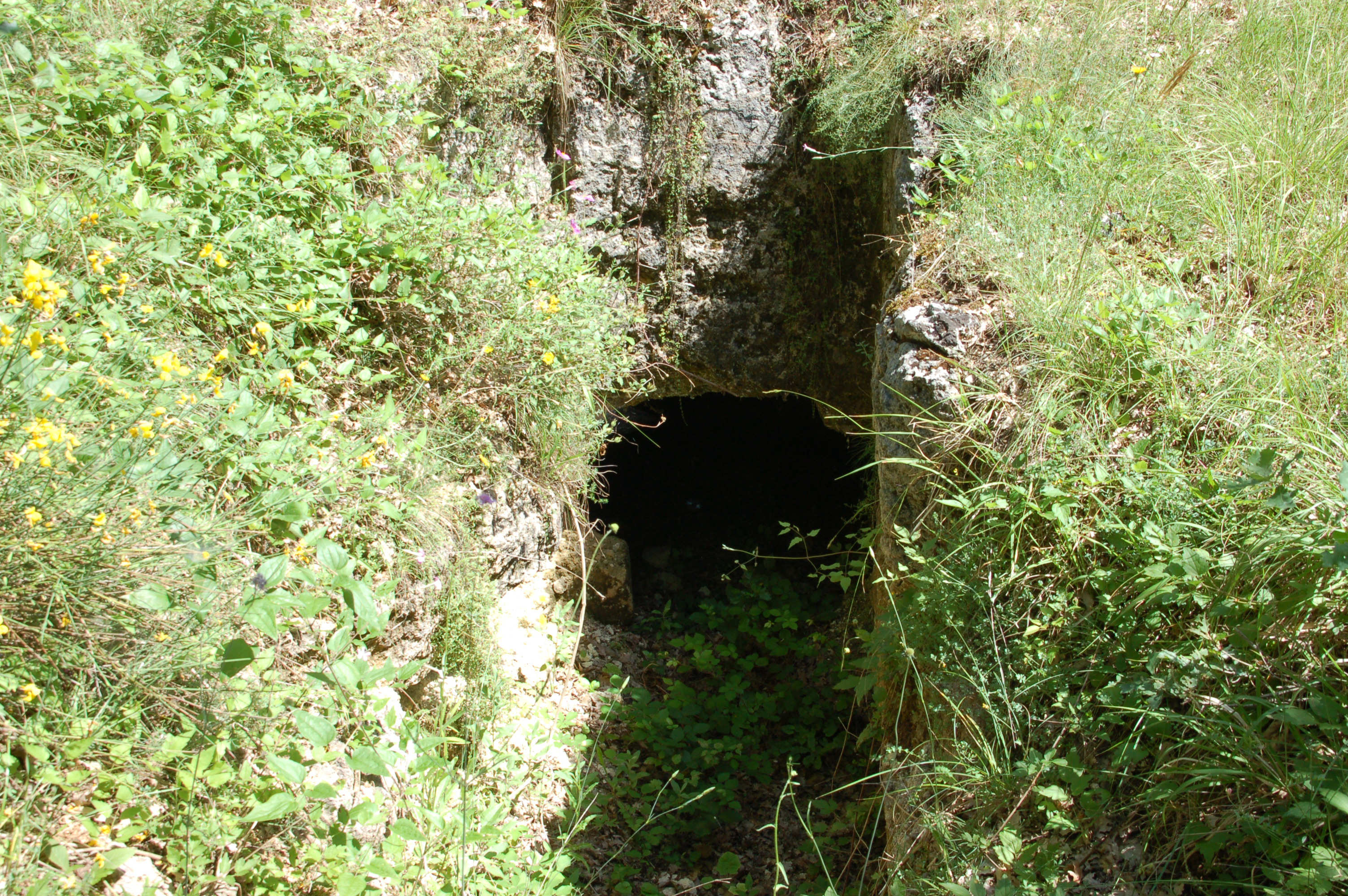 La necropoli di Poggio Rotondo
